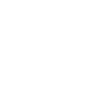 Eagle Eagle Contracting logo